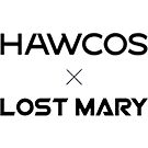 The Hawcos x Lost Mary logo in black font on a white background.