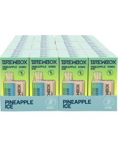 BrewBox disposable vapes 60 pack