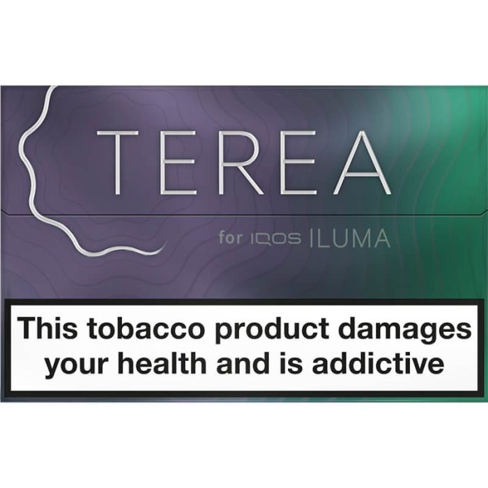 Buy IQOS TEREA Mauve Online - Free Delivery